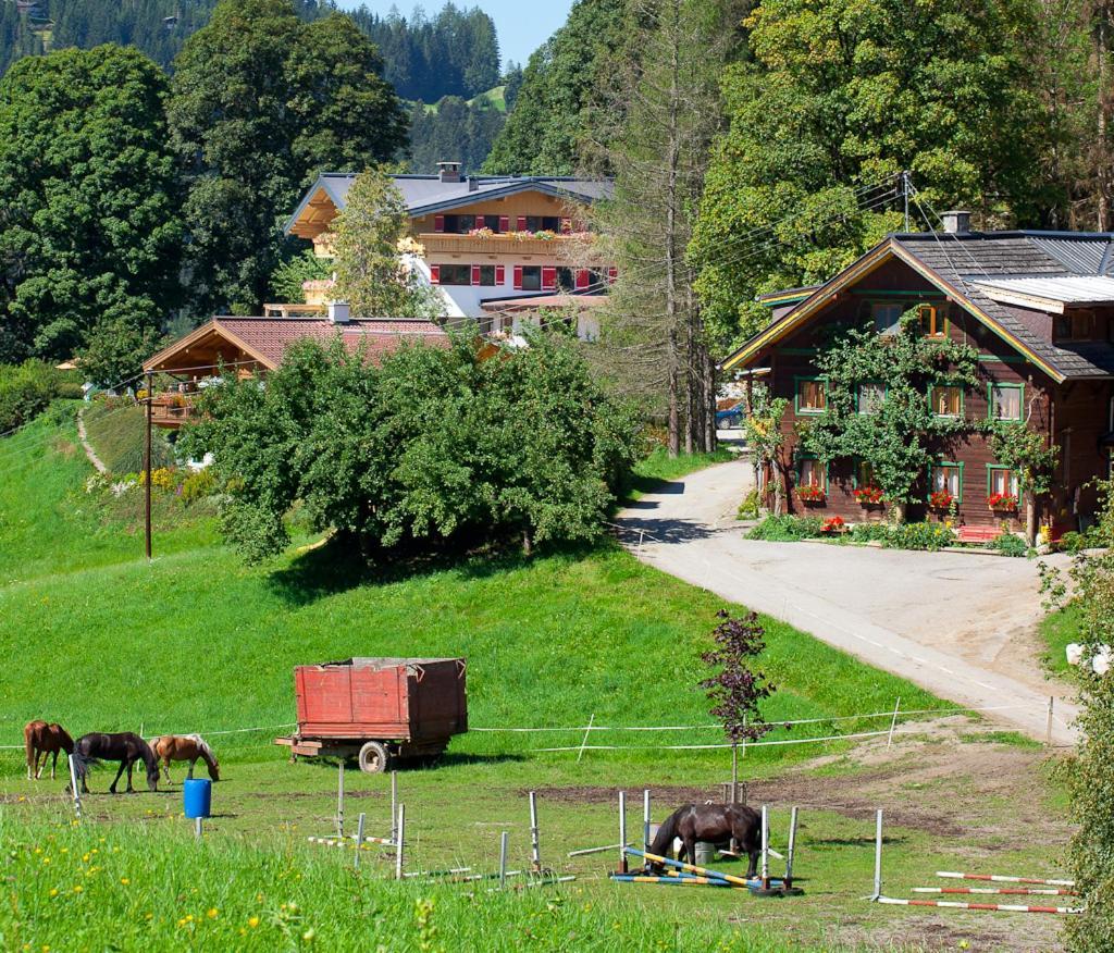Zauchtaler Hof Altenmarkt im Pongau Exterior foto